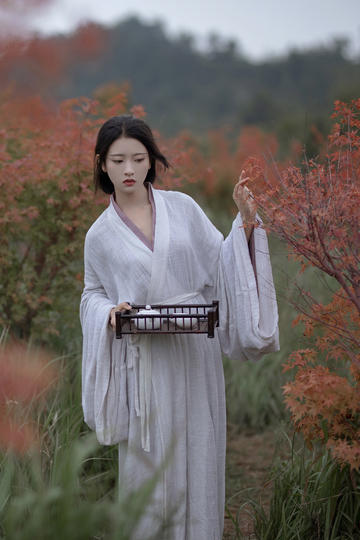 tent（tent是什么意思）